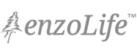 엔조라이프